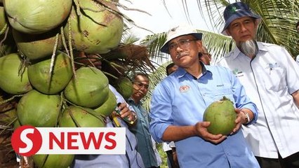 Agriculture Ministry to request RM10mil for pest management programme