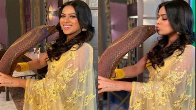 Naagin 4 के सेट पर सांप को Kiss करती दिखीं Nia Sharma । Naagin Nia Sharma Kisses a snake । Boldsky