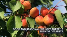 GOOD AND SEASONAL: WE LOVE THESE 10 APRICOT DESSERTS