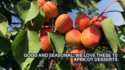 GOOD AND SEASONAL: WE LOVE THESE 10 APRICOT DESSERTS