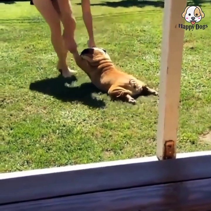 Menos mal que esto nunca se da en humanos