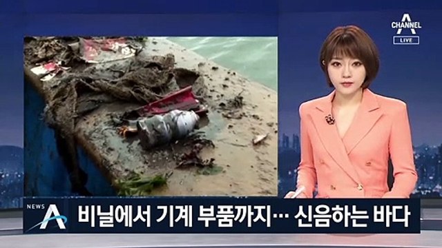 비닐에서 기계 부품까지…해양쓰레기에 신음하는 바다