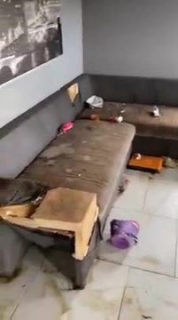 Des locataires vivaient avec 13 chiens, des chats, des lapins...et saccagent l'appartement!