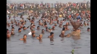 Fishing videos from Kalkata in India. Indian people fish catching in the old river from kalkata. Fishing Video,s