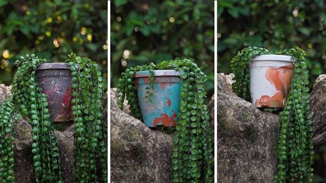 DIY Hydro Dipping für deine Blumentöpfe