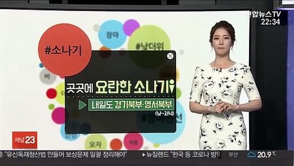 [날씨트리] 내일 수도권 낮더위…내륙은 요란한 소나기