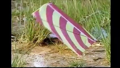 Chamas da Vida Cap 250