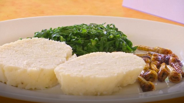 Scientists combat locust plague in East Africa by eating them and developing biopesticide