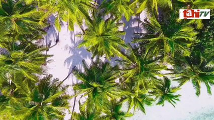 Seychelles Amazing Facts urdu hindi  tahi tv