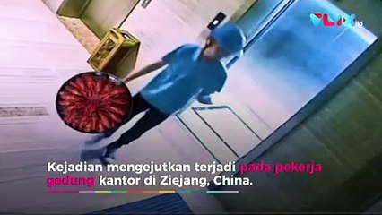 Ratusan Lobster Berhamburan Bikin Geger Sekantor!