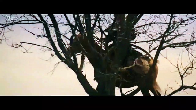 Suleyman Şhah - Diriliş Ertugrul - Short clip - Whatsapp status