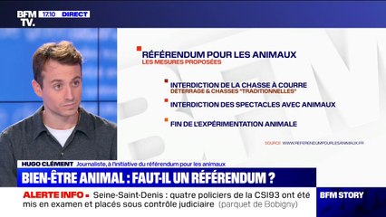 "La France est très en retard": Hugo Clément défend la tenue d'un référendum sur le bien-être animal