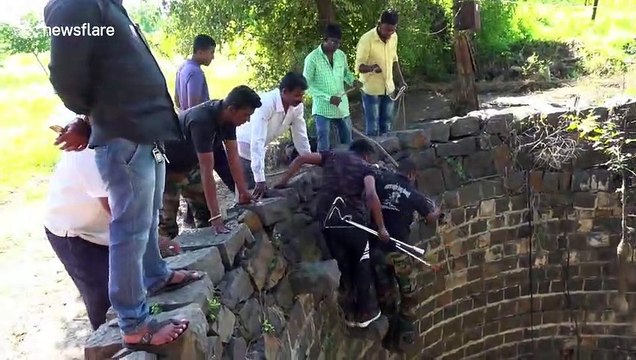 Indian reptile catcher falls in well when trying to rescue snake
