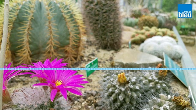 Voyages_dans_les_serres_du_parc_du_Moulin à tan de Sens dans l'Yonne