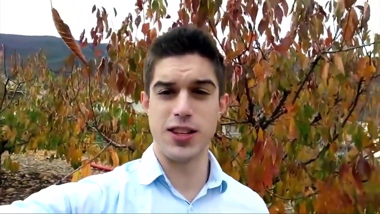 Google Ads VS Facebook Ads (Which Is Better)