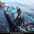 Sea   fishing  video  ..Hunting sea fish very quickly..