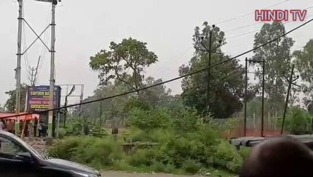 Never before have you seen such a group of locusts?टिड्डियों का ऐसा समूह आपने पहले कभी नहीं देखा होगा?Pakistan's Locusts Atack in India