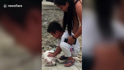Heartbreaking moment boy, 4, grieves for pet dog killed by truck
