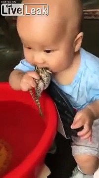 Doudou bio, ce bébé tette une grenouille