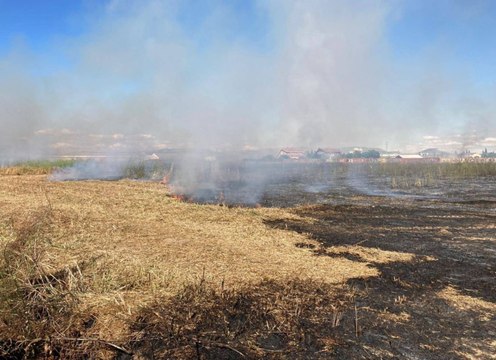 Se reactiva el fuego entre Soto de Medinilla y el Bosque de los Sueños