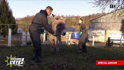 Spécial Amour : Matthieu Delormeau et Capucine Anav à la ferme !