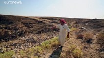 شاهد: اكتشاف مقبرة جماعية جديدة في العراق تعود لفترة حكم 