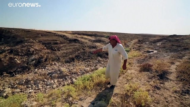 شاهد: اكتشاف مقبرة جماعية جديدة في العراق تعود لفترة حكم داعش