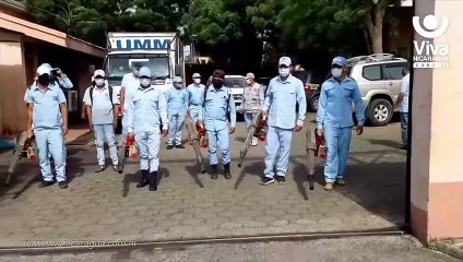 Guerra contra el mosquito transmisor de epidemias no se detiene