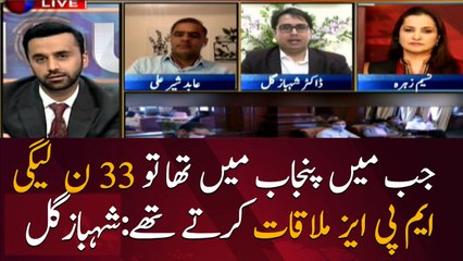 When I was in Punjab, 33 MPA of PMLN used to meet: Shahbaz Gill