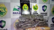 Operação Metrópolis: PM detém dupla e apreende 15 kg de maconha e buchas de cocaína na Região da FAG