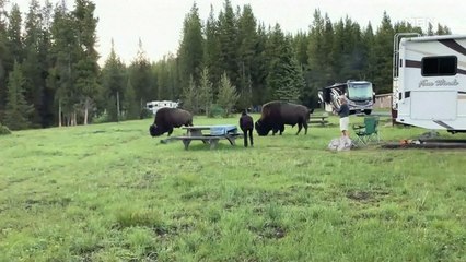 [굿모닝월드] 함께 사는 방법