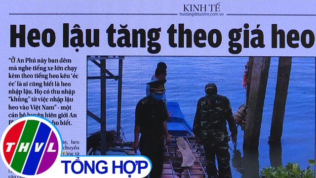 Heo lậu tăng theo giá heo - Điểm báo (3/7/2020)