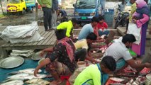 Amazing Fish Cutting Expart Team Expert Fishmonger In Fish Market By Doljor Fishing