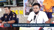 Tim Gabungan Amankan Pembawa Ribuan Telur Penyu dari Kepulauan Riau