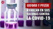 Oxford y Pfizer avanzan en sus vacunas contra covid-19