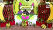 Productos derivados del plátano serán ofertados en el Parque de Ferias