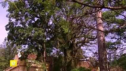 A Escrava Isaura 30/06/2020 Capitulo 188 HDTV Completo