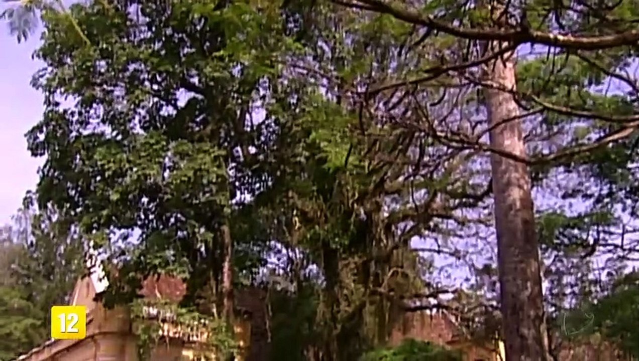 A Escrava Isaura 30/06/2020 Capitulo 188 HDTV Completo