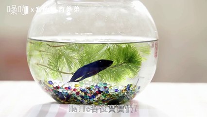 [SUBS]【我的鮮肉弟弟】My Bromance EP. 02