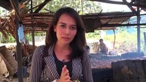 Ikan Asap Penopang Ekonomi Sulawesi Tenggara