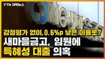 [자막뉴스] 감정평가 없이, 0.6%p 낮은 이율로?...특혜성 대출 의혹 / YTN