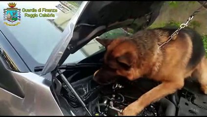 Villa San Giovanni -  Operazione Cargo Bianco, sequestrati 3,4 kg di cocaina