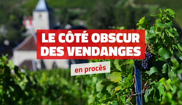 Le côté obscur des vendanges en procès à Reims