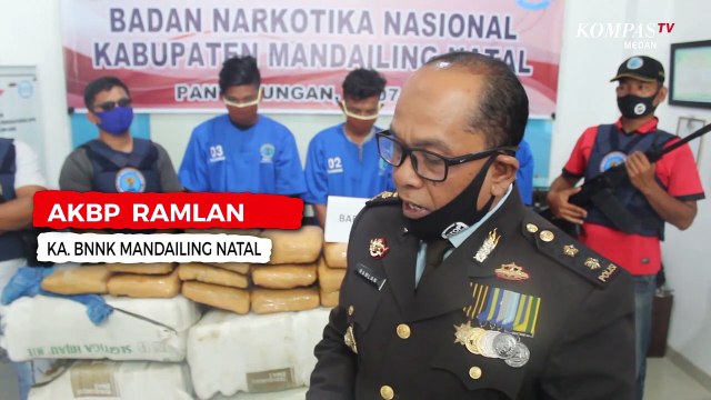 BNN Gagalkan Peredaran Ganja 300 Kg di Mandailing Natal