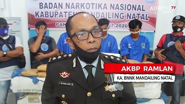 Kronologi BNN Gagalkan Peredaran Ganja 300 Kg di Mandailing Natal