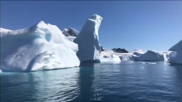 La desaparición de anticuerpos no supone una pérdida de inmunidad frente al coronavirus