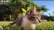 Animals SOO Cute Cute baby animals Videos Compilation cutest moment of the animals #3