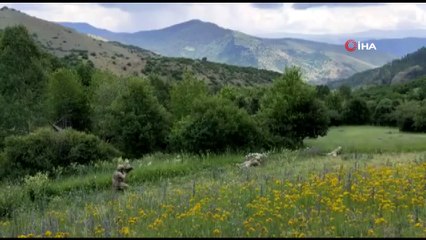 Etkisiz hale getirilen ‘Hejar’ kod adlı terörist 500 bin TL ödülle aranıyormuş