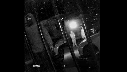 Police searching for suspects who threw molotov cocktails at business