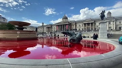 Hayvan hakları aktivistleri, Trafalgar Meydanı'ndaki havuzları boyayla kırmızıya çevirdi - LONDRA